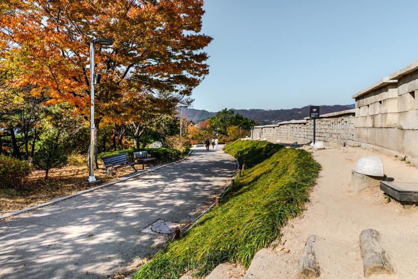 낙산공원의 한양도성 성곽 옆 산책길과 가을 나무