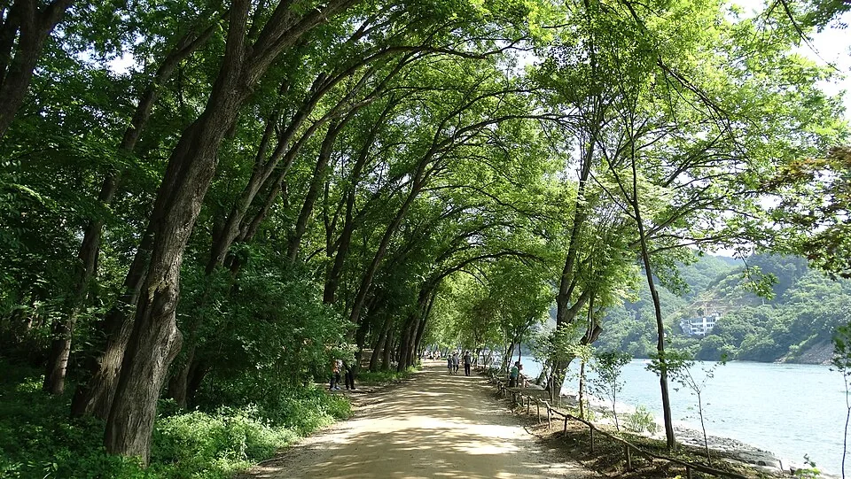남이섬