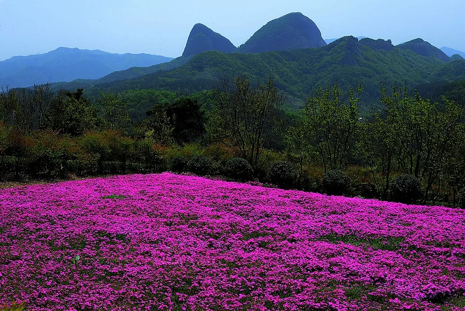 마이산도립공원