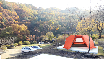 예터캠핑&엘리스숲미술관