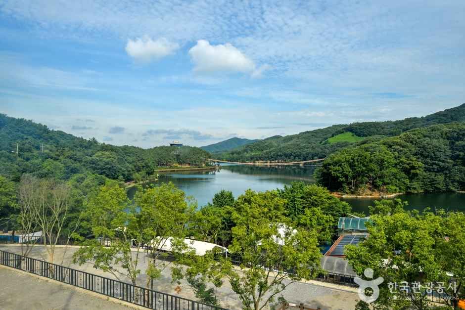 파주 마장호수와 물 위를 가로지르는 출렁다리의 풍경