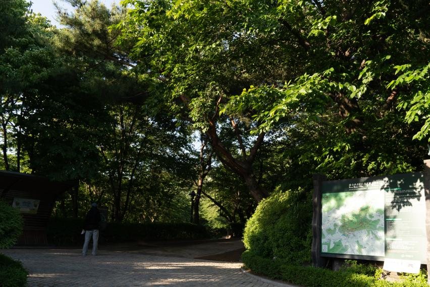 서대문 안산의 산책길