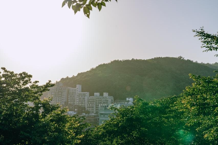 백련산과 주변 동네 풍경