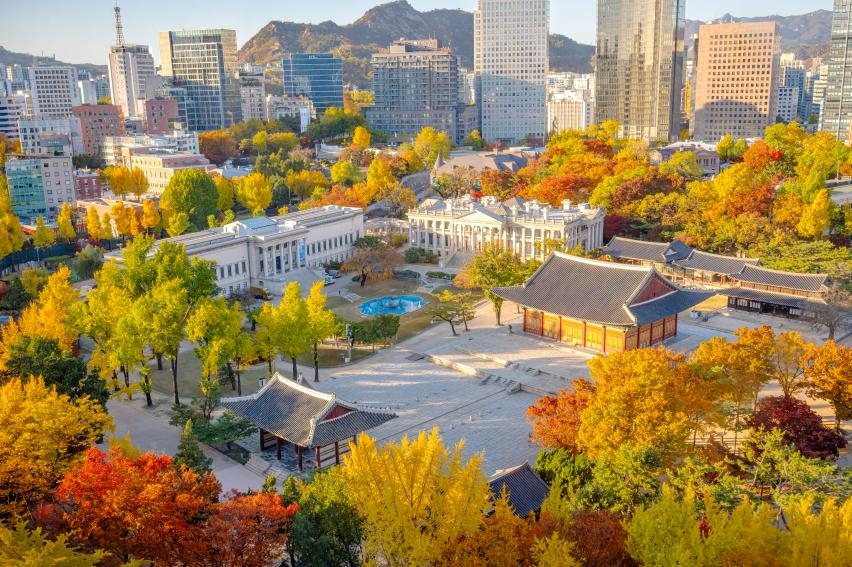 정동전망대에서 바라본 덕수궁