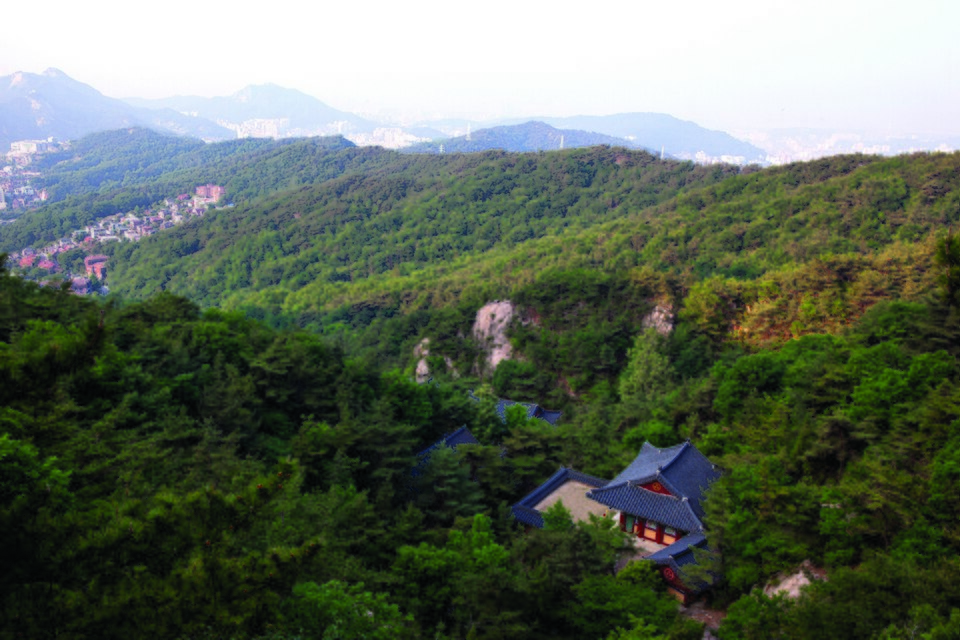금선사